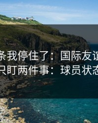 看到这条我停住了：国际友谊赛复仇之战我只盯两件事：球员状态和心态