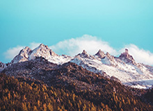 法甲这条越位线把人整太魔幻：上海海港进了又没了，德布劳内摊手到最后