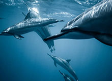 别急着下结论:足彩讲透:别只盯临场调整,还要看替补深度