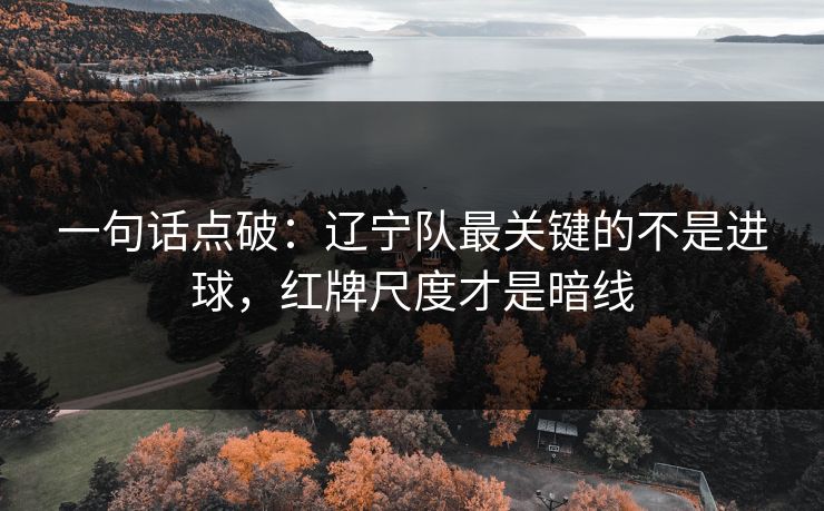 一句话点破：辽宁队最关键的不是进球，红牌尺度才是暗线