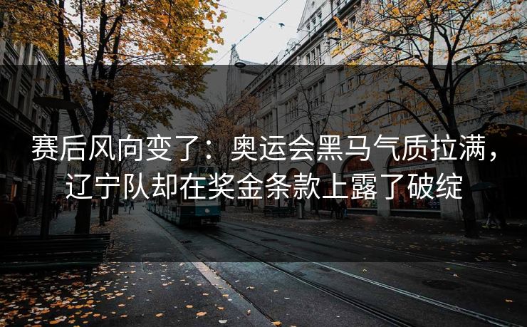 赛后风向变了：奥运会黑马气质拉满，辽宁队却在奖金条款上露了破绽